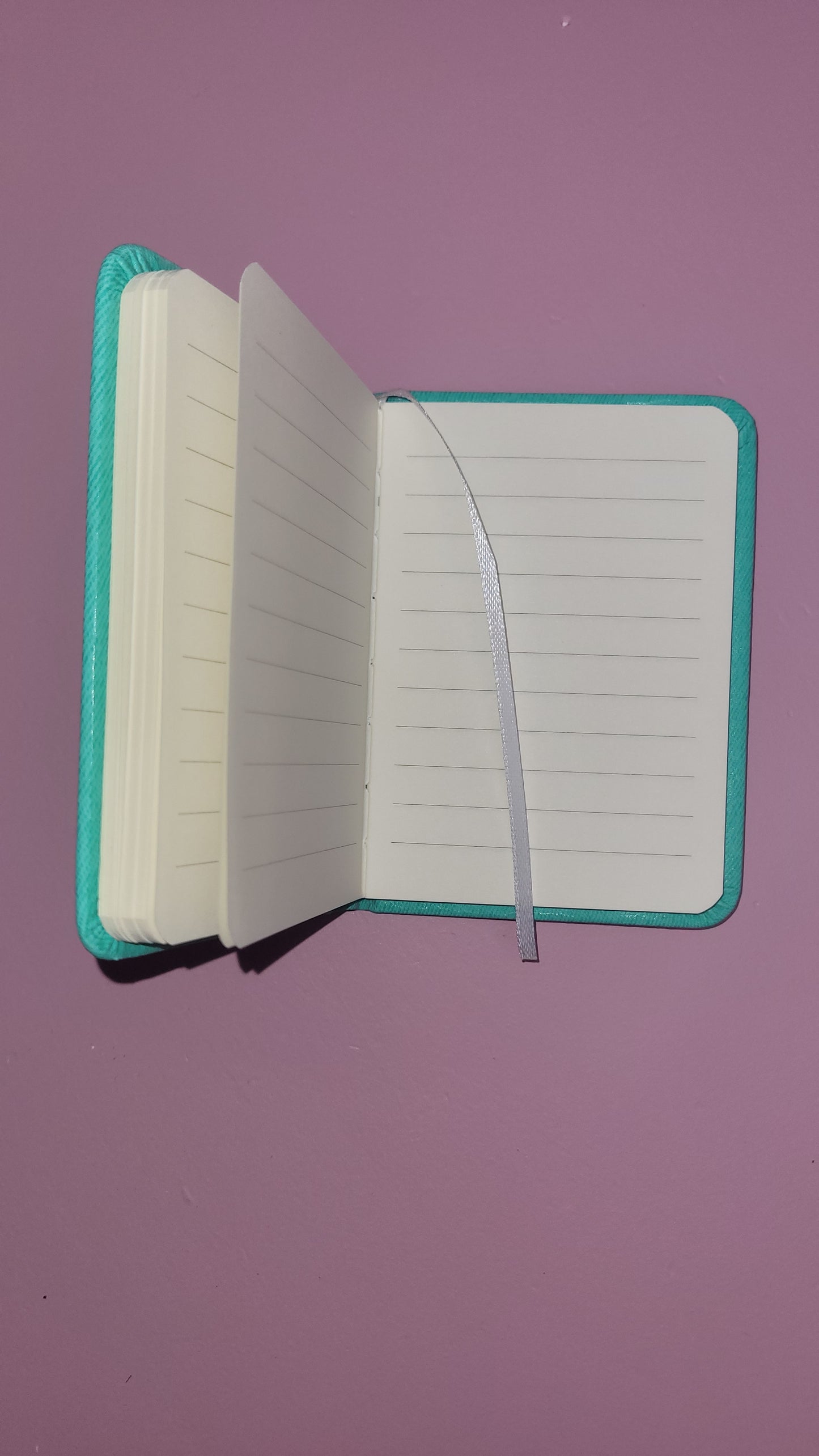 Pocket boekje mint groen